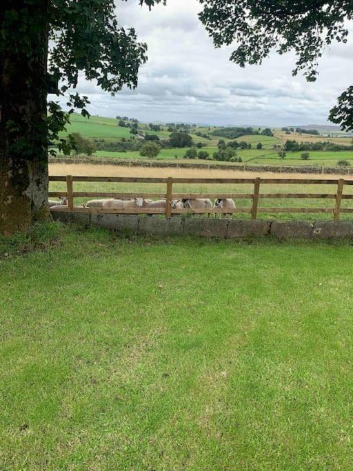 Longnor Ivy House Farm, Near Longnor别墅 外观 照片
