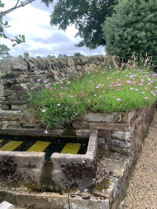 Longnor Ivy House Farm, Near Longnor别墅 外观 照片